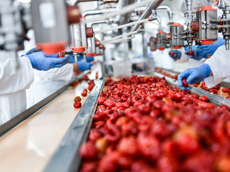 Hírek - 8G Energy Holding